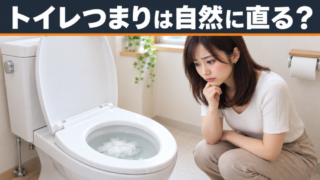 トイレつまりが自然に治るケースと治らないケースを解説｜避けるべき対処法も公開！ 